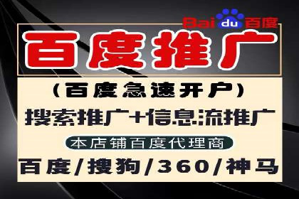 百度广告投放策略与效果评估案例